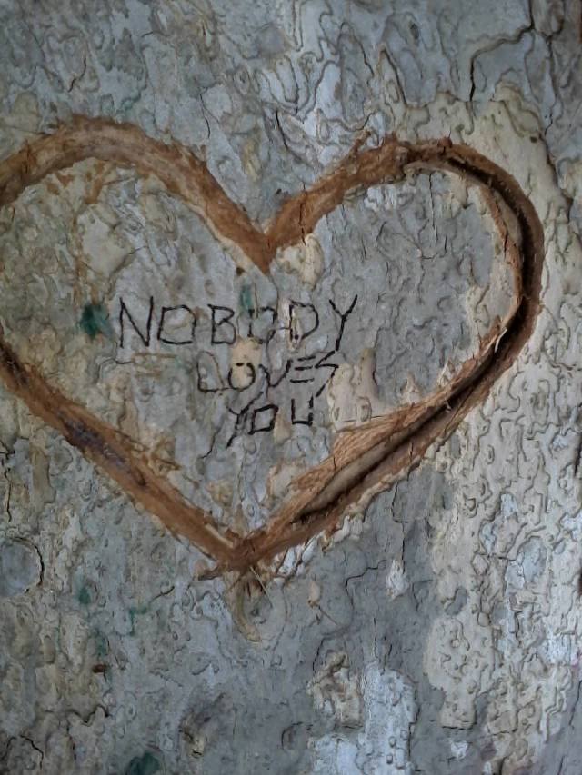 An encouraging message I found on a tree.