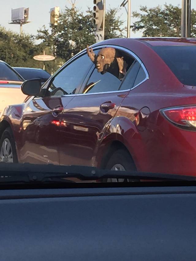 Sitting in traffic on 610 in Houston earlier. This guy kept sticking out and taunting people.