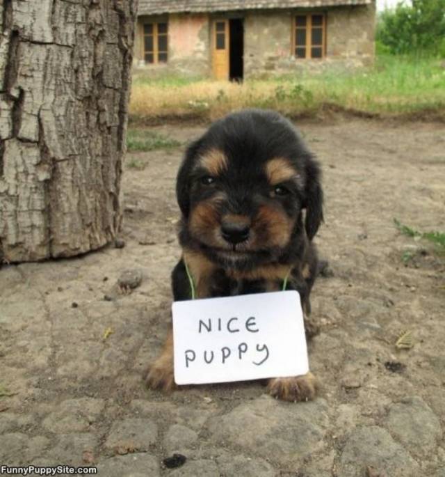 False Advertising