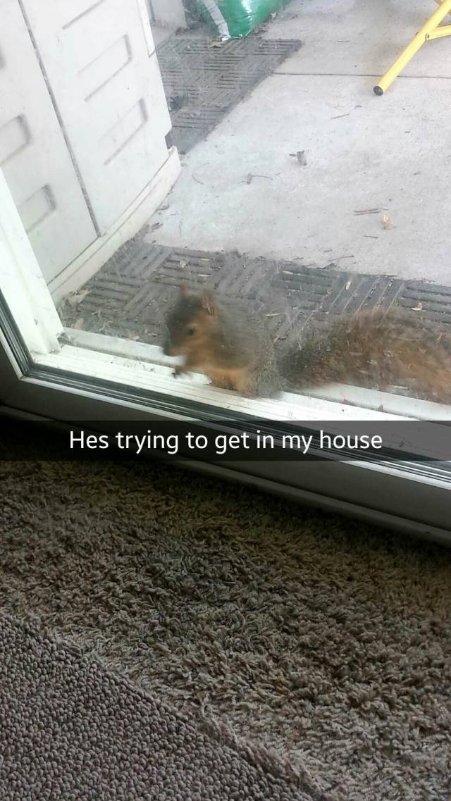 This f*cker was there for over 5 minutes