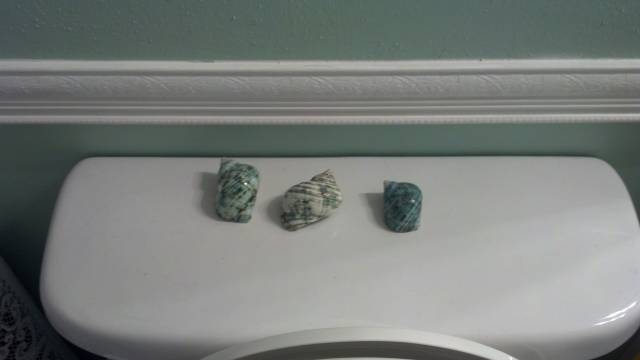 I have no idea how to use these - help!?