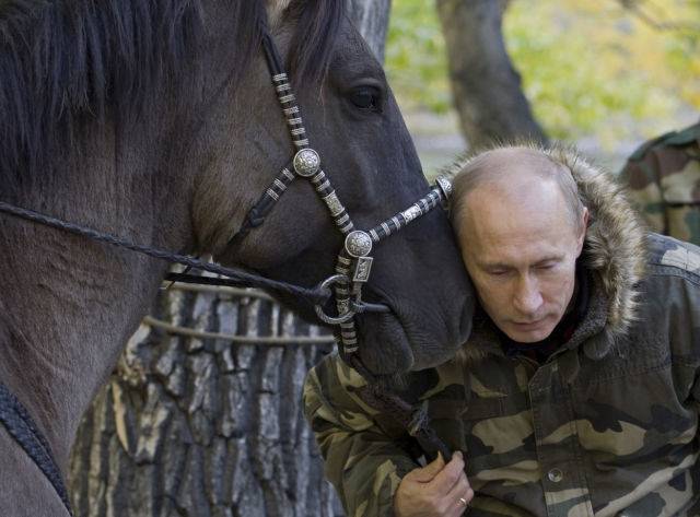 Vladimir Putin the horse whisperer
