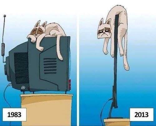 Cats pay the price for technological advances
