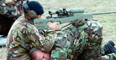 These Pictures Prove That It's Easier To Get Stuff Done When You Work Together