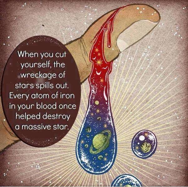 Inspirational Quotes: Quote of the day