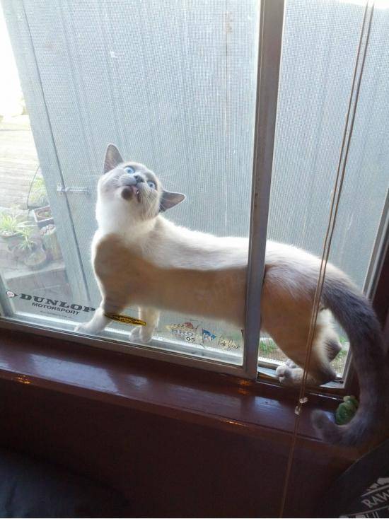This idiot got himself stuck today.