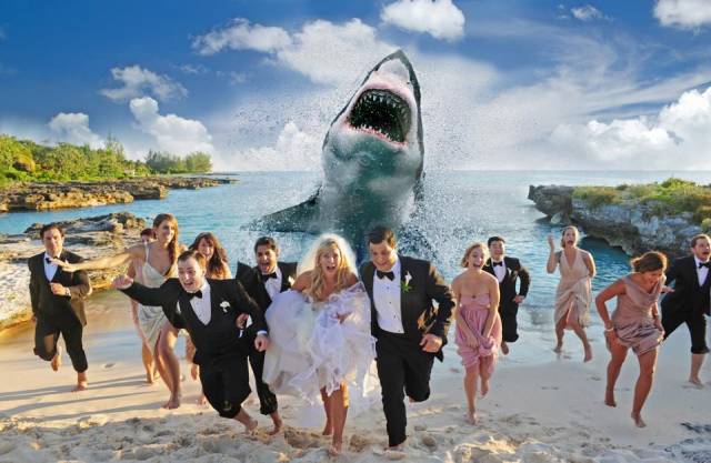 My friends wedding picture in the grand cayman last year just got an addition