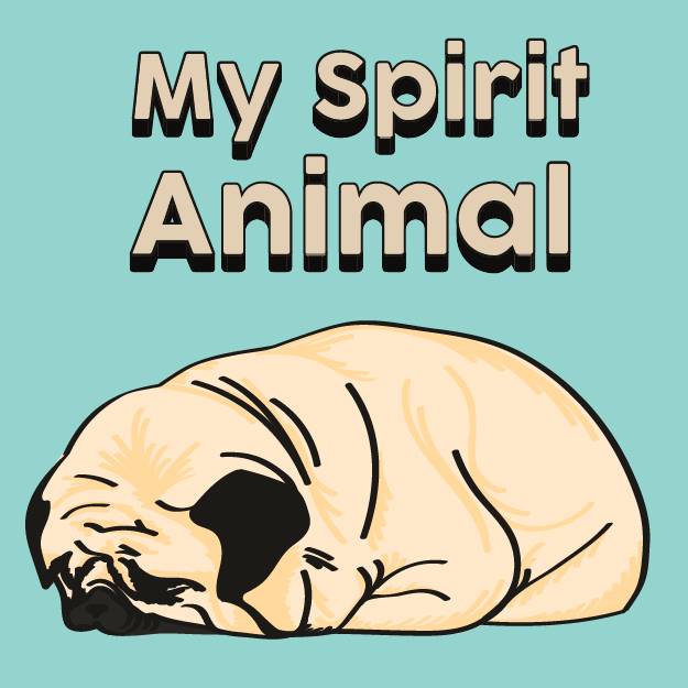 my spirit animal