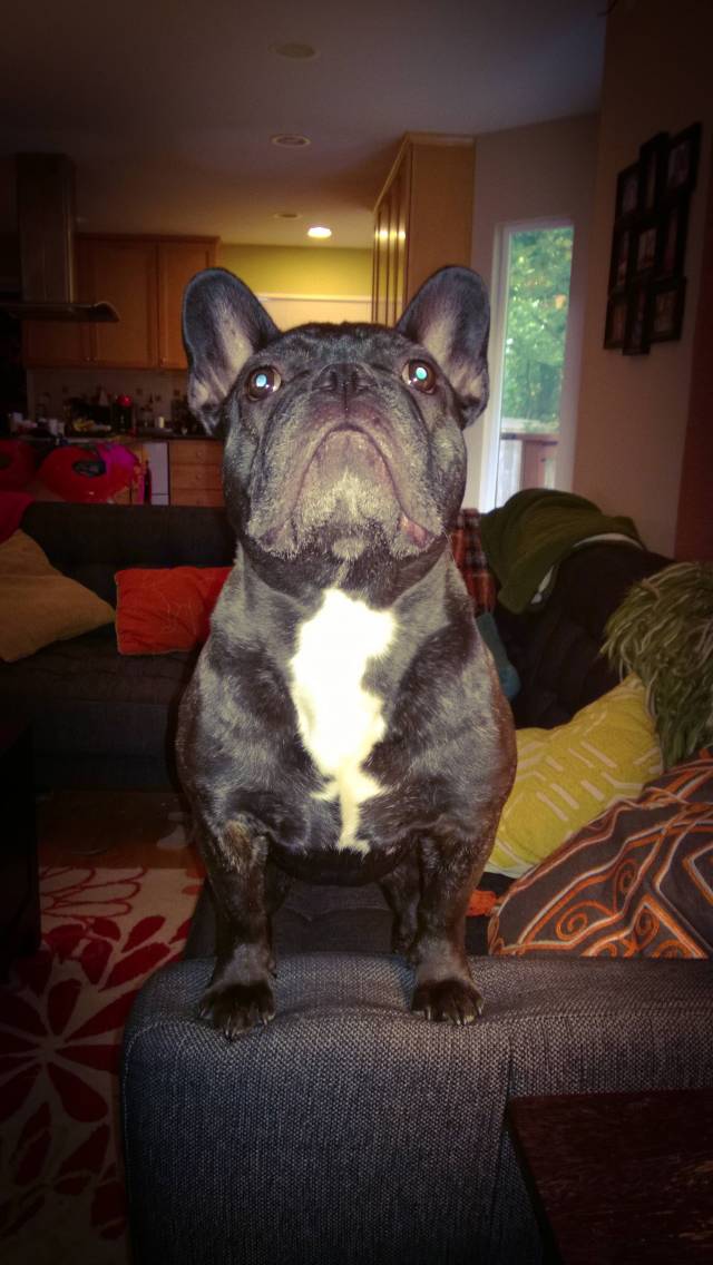 Majestic as f*ck