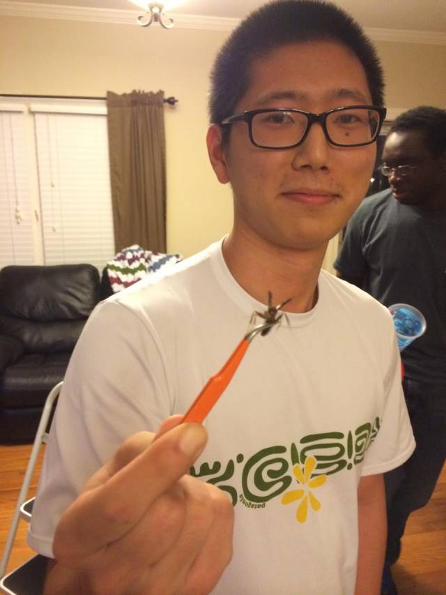My friend let a wasp into my house. I told him to catch it.