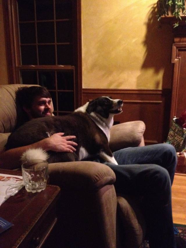 Went to visit the family and the dog missed me. He's majestic