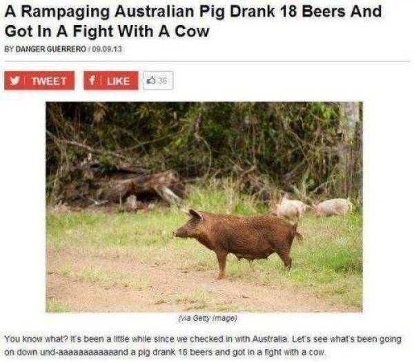 Only in ‘Straya