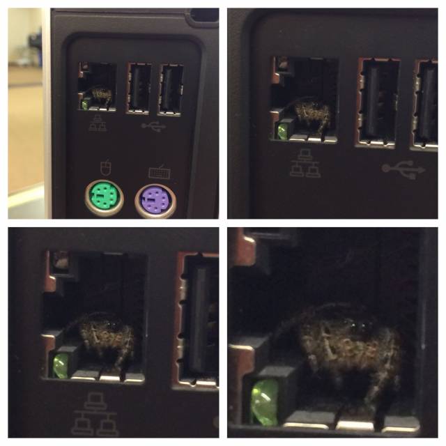 Let me just plug in this ether... NOPE