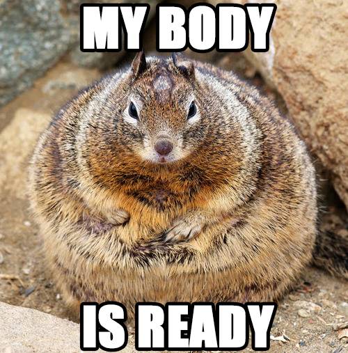 Hibernation.