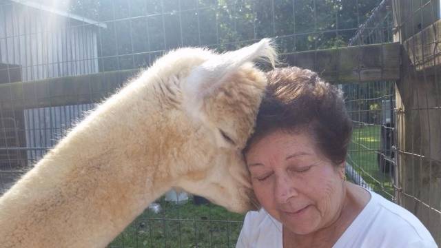My grandma just sent me this