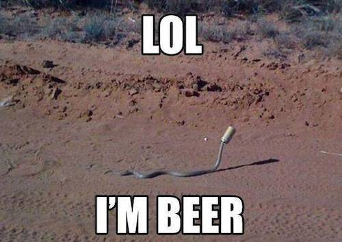 This Snake