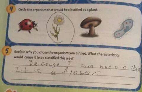 My friend's kid shows she's not an idiot
