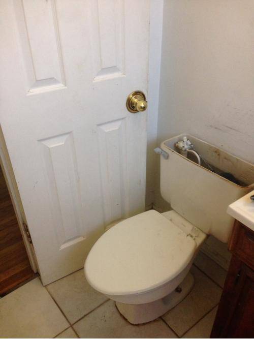 Fixing a toilet leak. I took 2 trips to Home Depot, worked with a hernia, had a pain in the ass time putting the wax ring and screws on...only to install the toilet and forgetting about the door. I’m an idiot.
