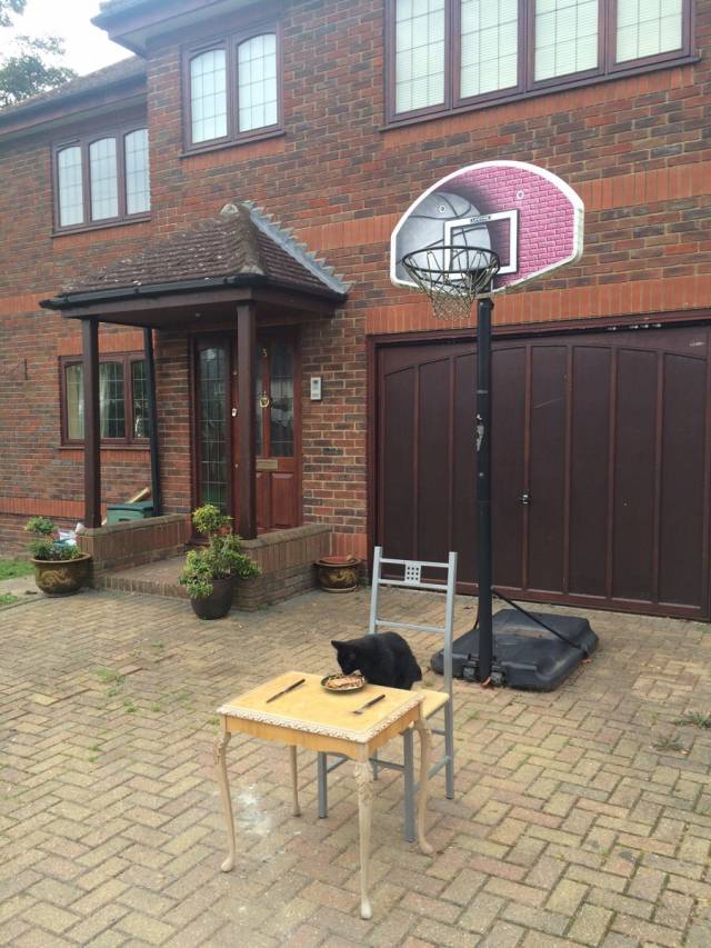 So I came home to this yesterday.