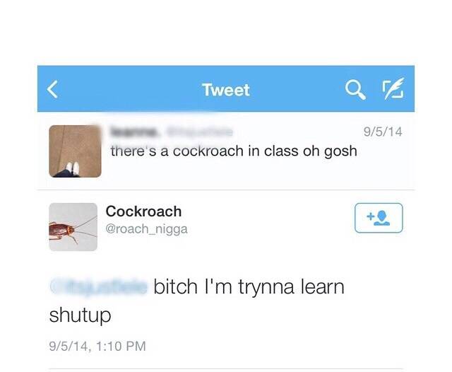 I saw that you guys like the cockroach Twitter account