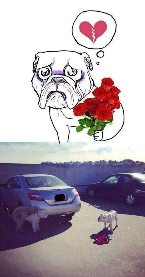 Bi*ches are jerks.