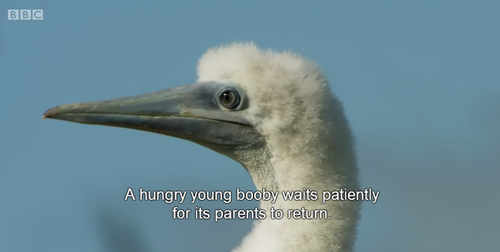 When your parents go out food shopping