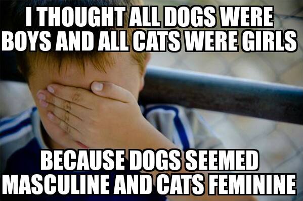 It really did seem like the logical explanation at the time.