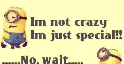 Top 15 Funny Minion Quotes