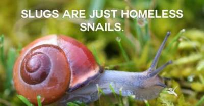 Latest Perspective About Animals, You Will Rethink About it !