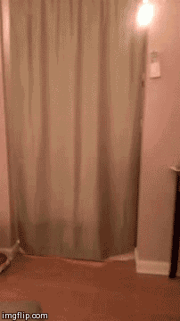 So graceful