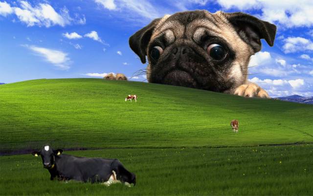 I'd like to share my favorite wallpaper