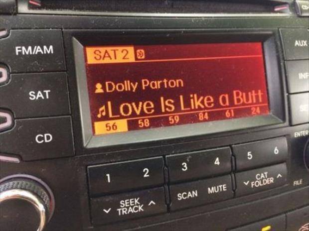 Dolly 