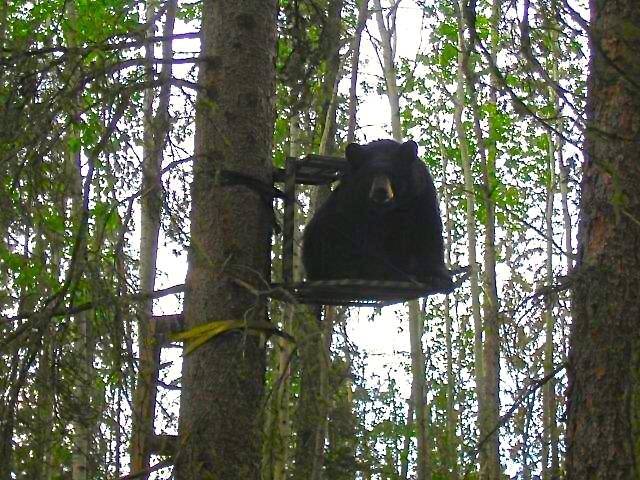 Oh, was you going to use this?
