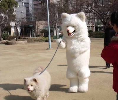 Looking for costume ideas when I found this
