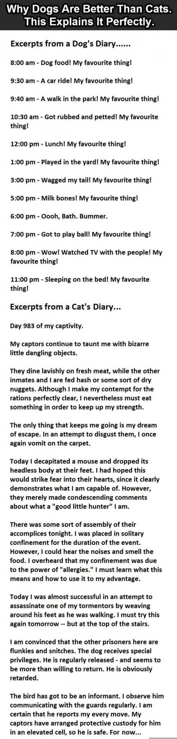 Why Dogs Are Better Than Cats. This Is So True.