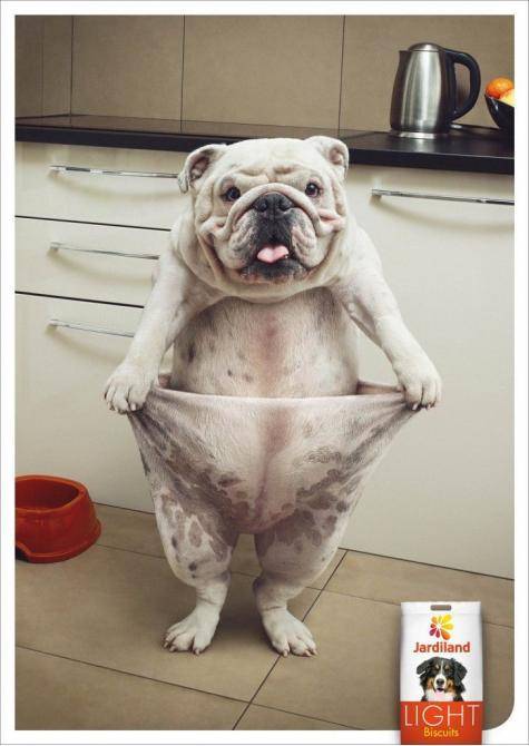 Advertisement for light dog food