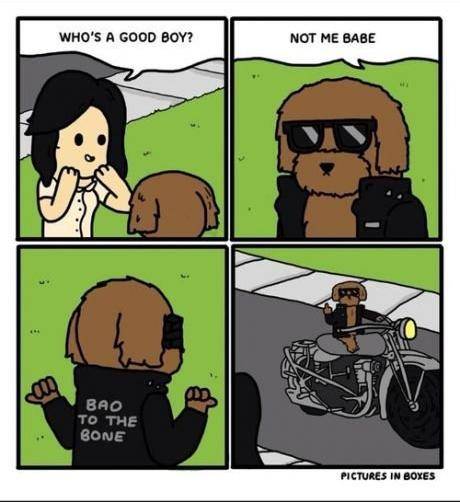 bao to the bone