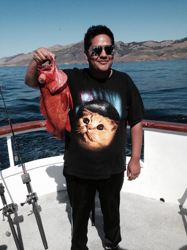 The cat and That fish.
