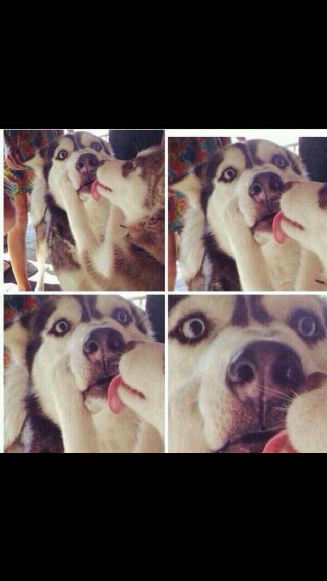 She's licking me! 