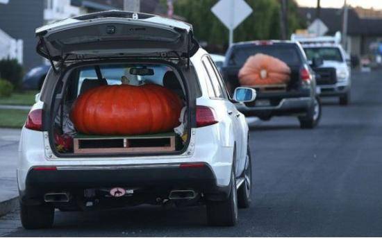Halloween Fever