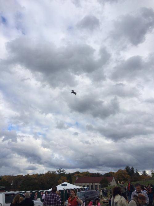 I was at a horse race yesterday when some kid lost his balloon...