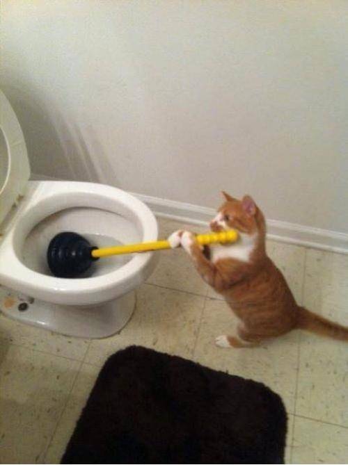 Nobody f*cking helps me in this house..