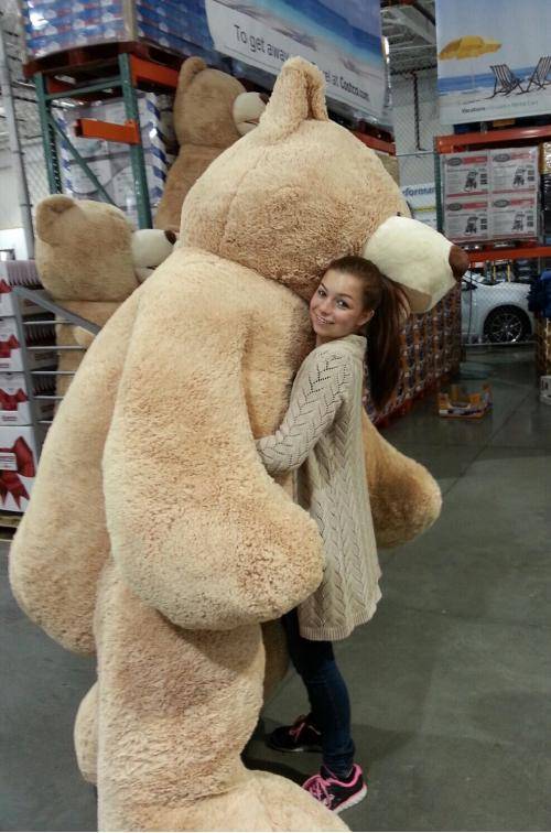 We got our 92 inch Costco bears in today!