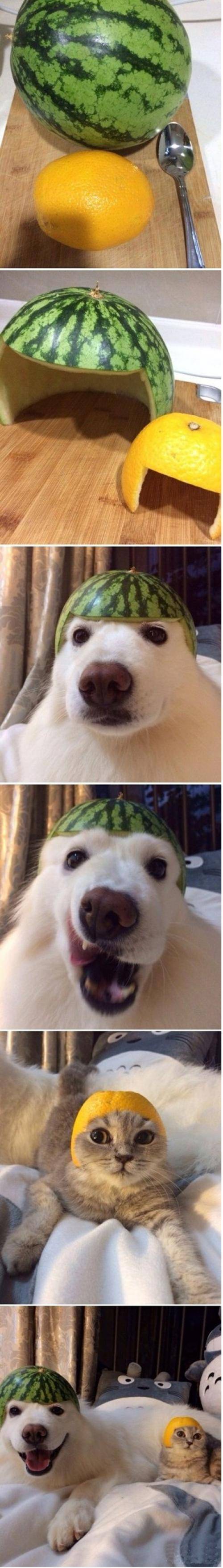 Fruity helmets.. safety first!
