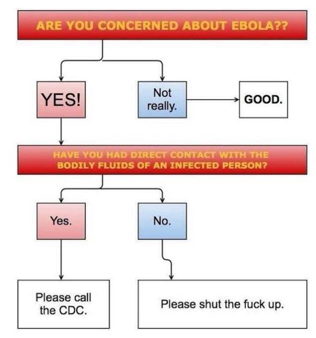 Ebola concern flowchart