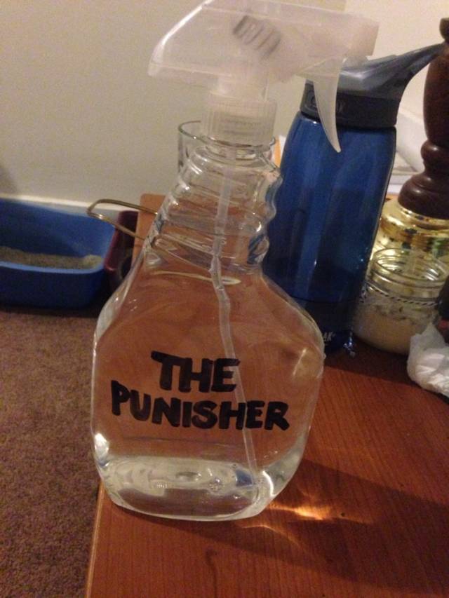 what s*x toy is this?