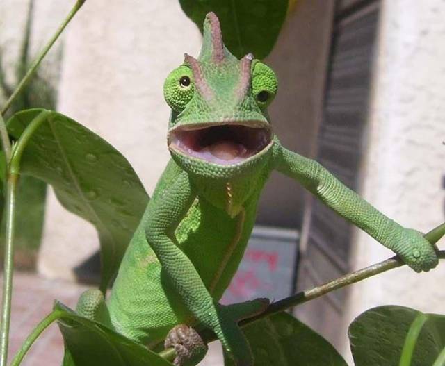When I am talking to a girl at the bar and her b**bs are hanging out.