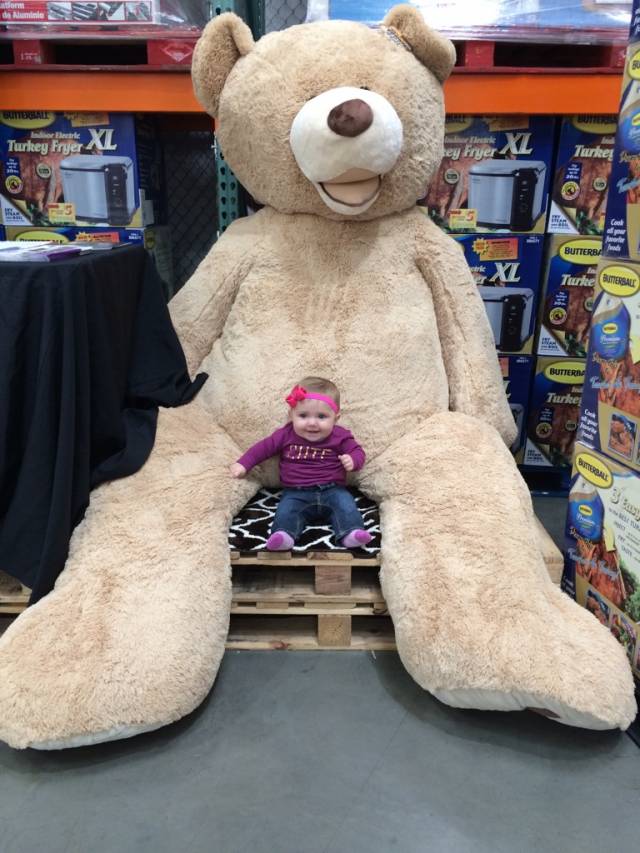 wtf