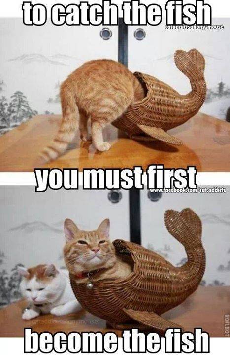 How to Capture a Fish