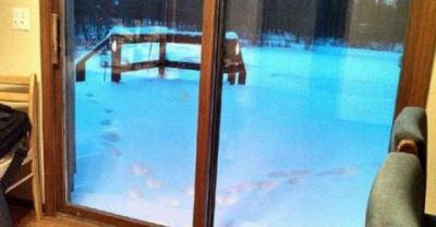 13 Creepy Pics That Are Totally Authentic
